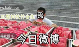 各种吃瓜爆料视频下载,吃瓜爆料视频背后的精彩故事