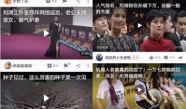 挑战全网吃瓜爆料视频大全,揭秘娱乐圈幕后真相