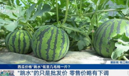 反差吃瓜爆料大瓜泄露蒜香,大瓜泄露背后的蒜香故事